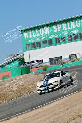 media/May-07-2022-Cobra Owners Club of America (Sat) [[e681d2ddb7]]/Blue/Session 1 (Turn 4)/